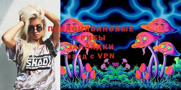 стаф Тында