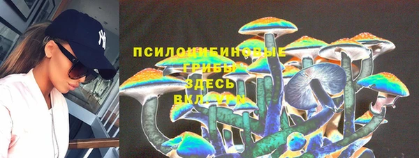 дживик Тутаев