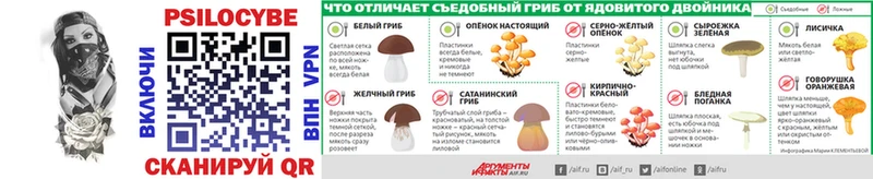 Псилоцибиновые грибы GOLDEN TEACHER Певек